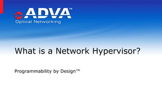 What is a Network Hypervisor? 
Programmability by Design™ 
 