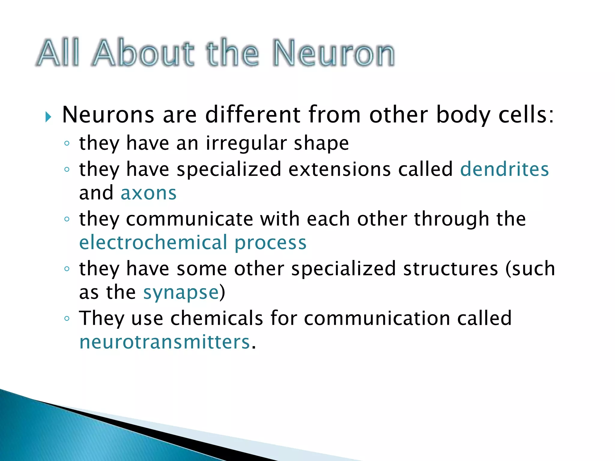 Neurons are different from other body cells:they have an irregular shapethey have specialized extensions called dendrites and axonsthey communicate with each other through the electrochemical processthey have some other specialized structures (such as the synapse) They use chemicals for communication called neurotransmitters.All About the Neuron
