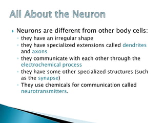 Neurons are different from other body cells:they have an irregular shapethey have specialized extensions called dendrites and axonsthey communicate with each other through the electrochemical processthey have some other specialized structures (such as the synapse) They use chemicals for communication called neurotransmitters.All About the Neuron