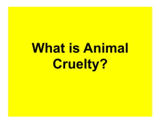 What is Animal
  Cruelty?
 