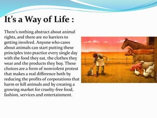 What is Animal Rights | PPTX