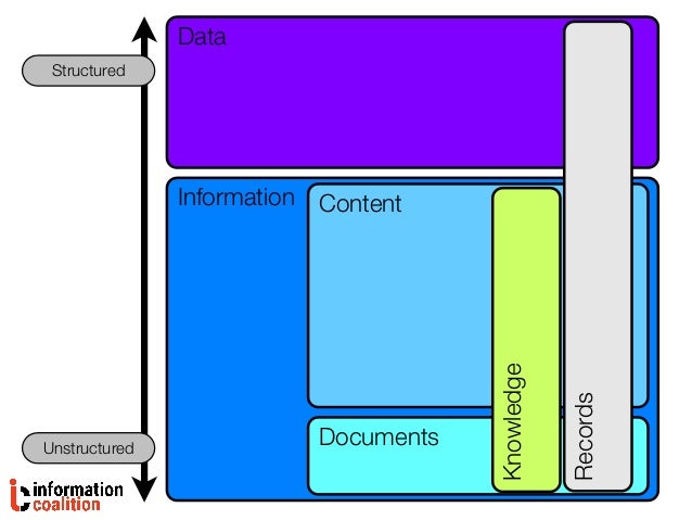What Is An Information Professional 