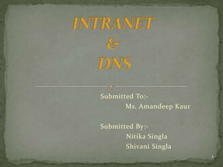 INTRANET & DNS Submitted To:-  			Ms. AmandeepKaur Submitted By:-  NitikaSingla ShivaniSingla 1 