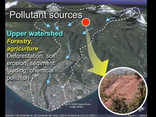 Upper watershed
Forestry,
agriculture
Deforestation, soil
erosion, sediment
loading, chemical
pollution
Pollutant sources
 