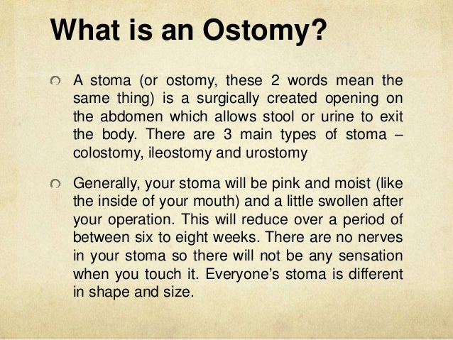 what is an ostomy what is an ostomy