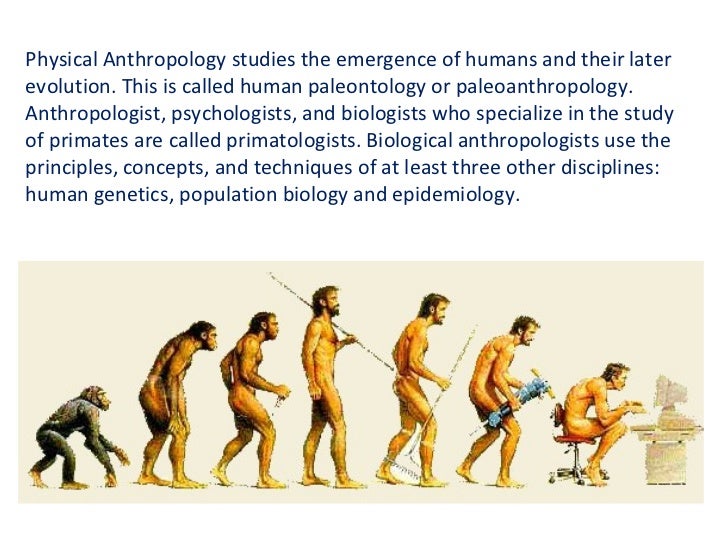 What is anthropology What is anthropology