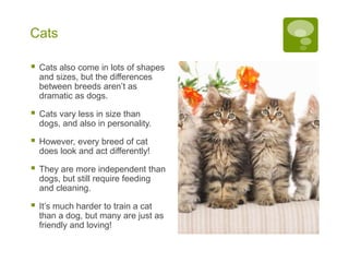 Pet Explained What is a pet | PPTX