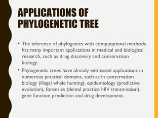Phylogenetic Tree, types and Applicantion | PPT