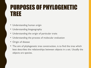 Phylogenetic Tree, types and Applicantion | PPT