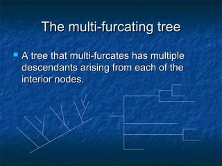The multi-furcating treeThe multi-furcating tree
 A tree that multi-furcates has multipleA tree that multi-furcates has multiple
descendants arising from each of thedescendants arising from each of the
interior nodes.interior nodes.
 