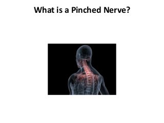 What is a Pinched Nerve?
 
