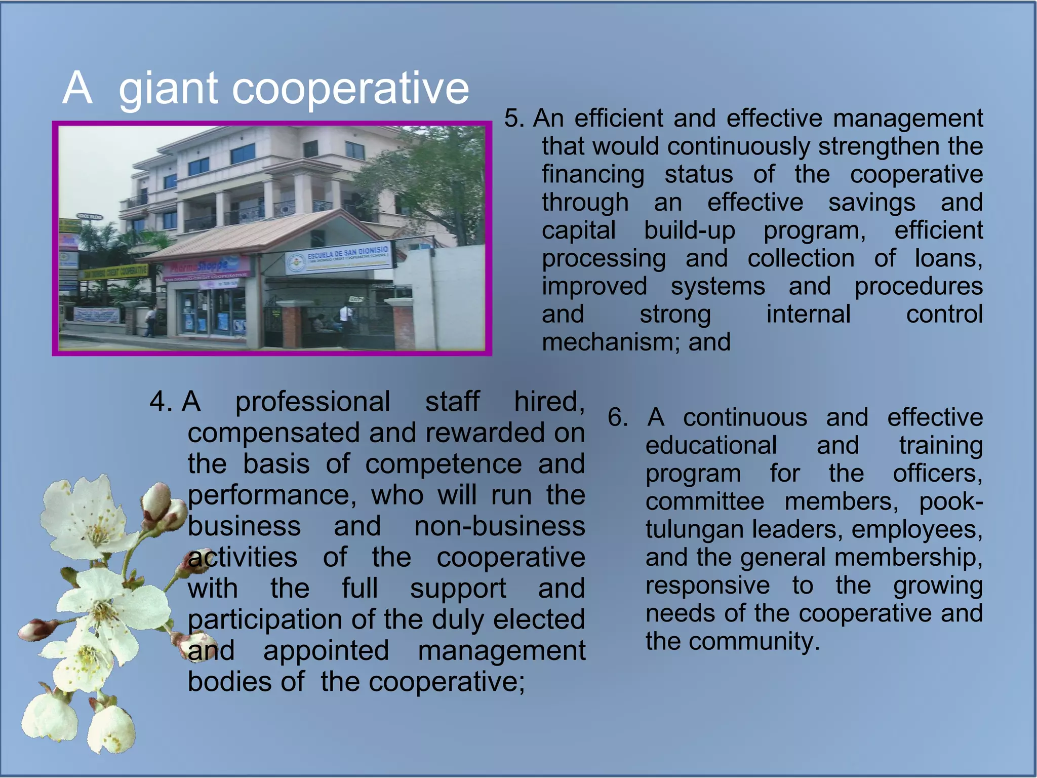 A  giant cooperative 4.  A professional staff hired, compensated and rewarded on the basis of competence and performance, who will run the business and non-business activities of the cooperative with the full support and participation of the duly elected and appointed management bodies of  the cooperative;  5.  An efficient and effective management that would continuously strengthen the financing status of the cooperative through an effective savings and capital build-up program, efficient processing and collection of loans, improved systems and procedures and strong internal control mechanism; and 6. A continuous and effective educational and training program for the officers, committee members, pook-tulungan leaders, employees, and the general membership, responsive to the growing needs of the cooperative and the community. 