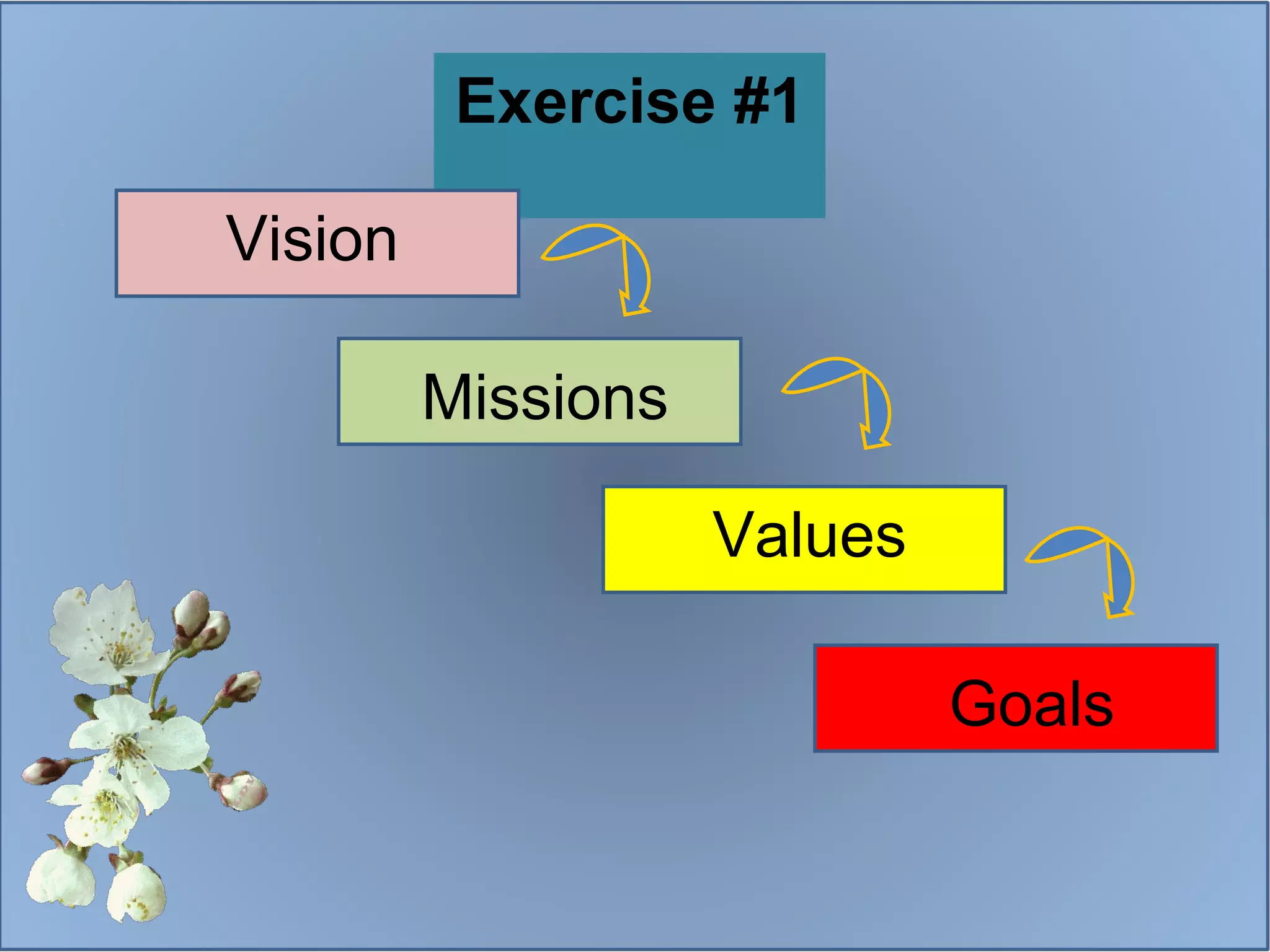 Exercise #1  Vision Missions Values Goals 