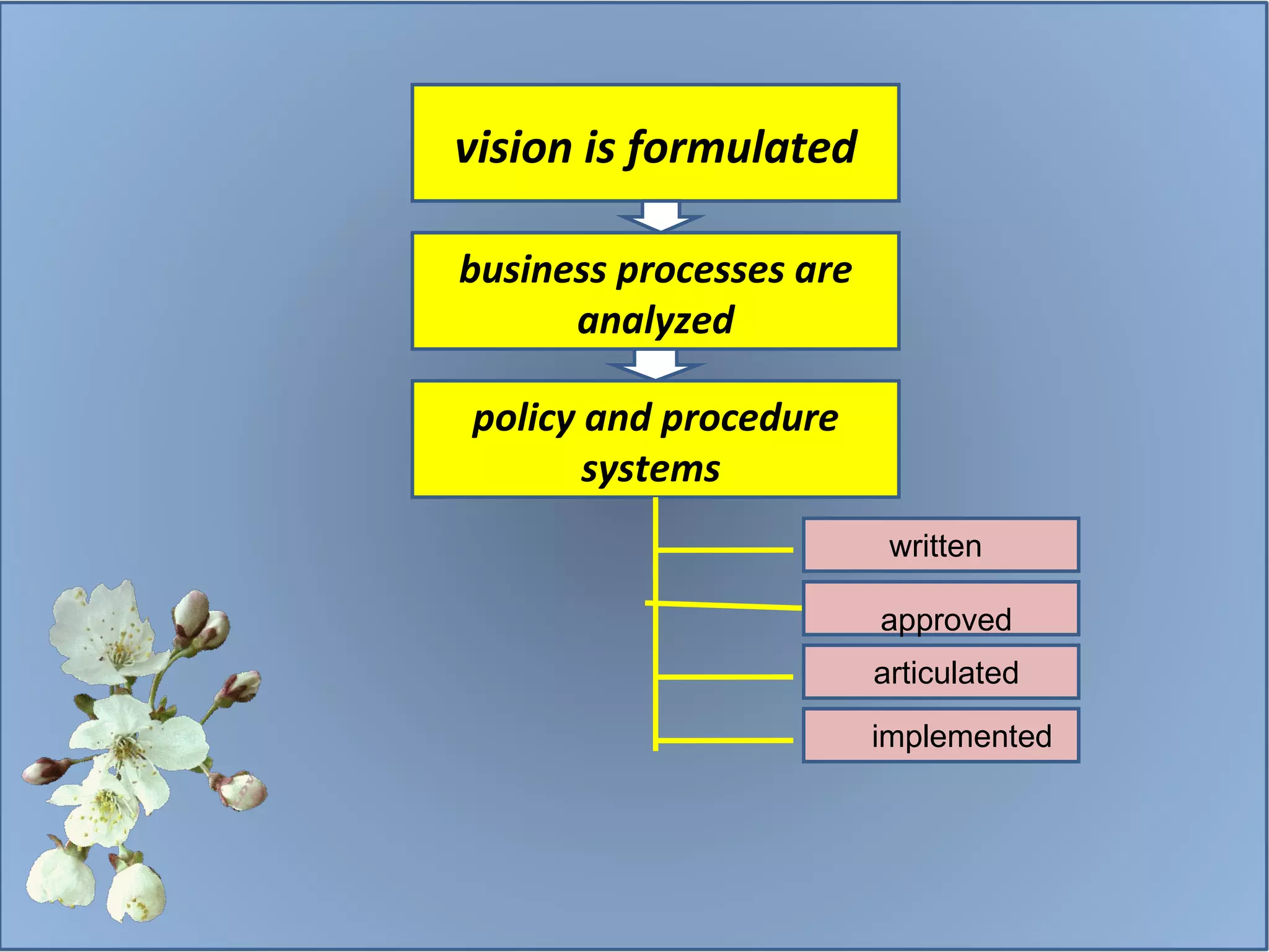 vision is formulated business processes are analyzed policy and procedure systems  written approved articulated implemented 