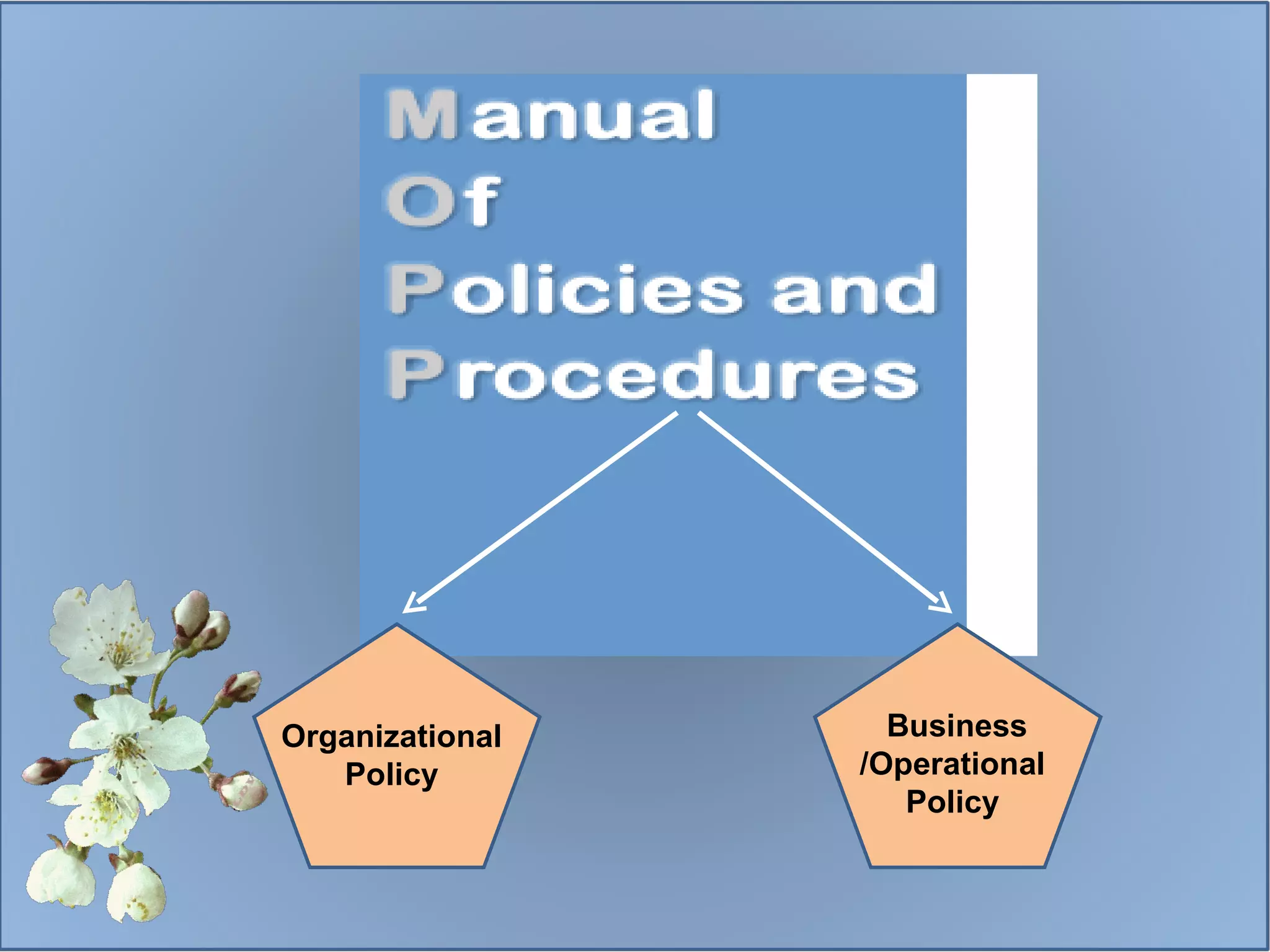 Organizational Policy Business /Operational Policy 