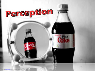 Photo by Laura Lewis via Flikr Creative Commons
 