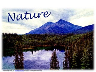 Emerald Lake by Matt Shalvatis via Flikr Creative Commons
 