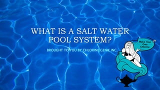 WHAT IS A SALT WATER
POOL SYSTEM?
BROUGHT TO YOU BY CHLORINE GENIE INC.
 