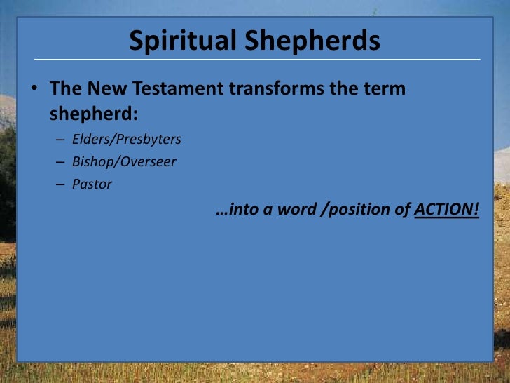 What is a Shepherd?