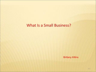 What Is a Small Business?
3-1
Brittany Killins
 