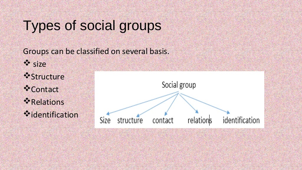 social group and its types