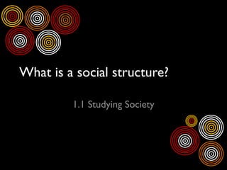 What is a social structure?

         1.1 Studying Society
 
