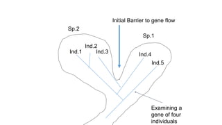 Comprehensive Overview of Species Concepts and Speciation Processes in ...