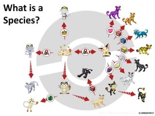 1
http://fav.me/dcg0d31
What is a
Species?
 