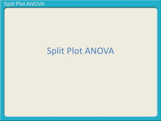 Split Plot ANOVA 
 