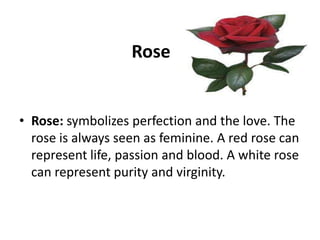 Rose

• Rose: symbolizes perfection and the love. The
rose is always seen as feminine. A red rose can
represent life, passion and blood. A white rose
can represent purity and virginity.

 