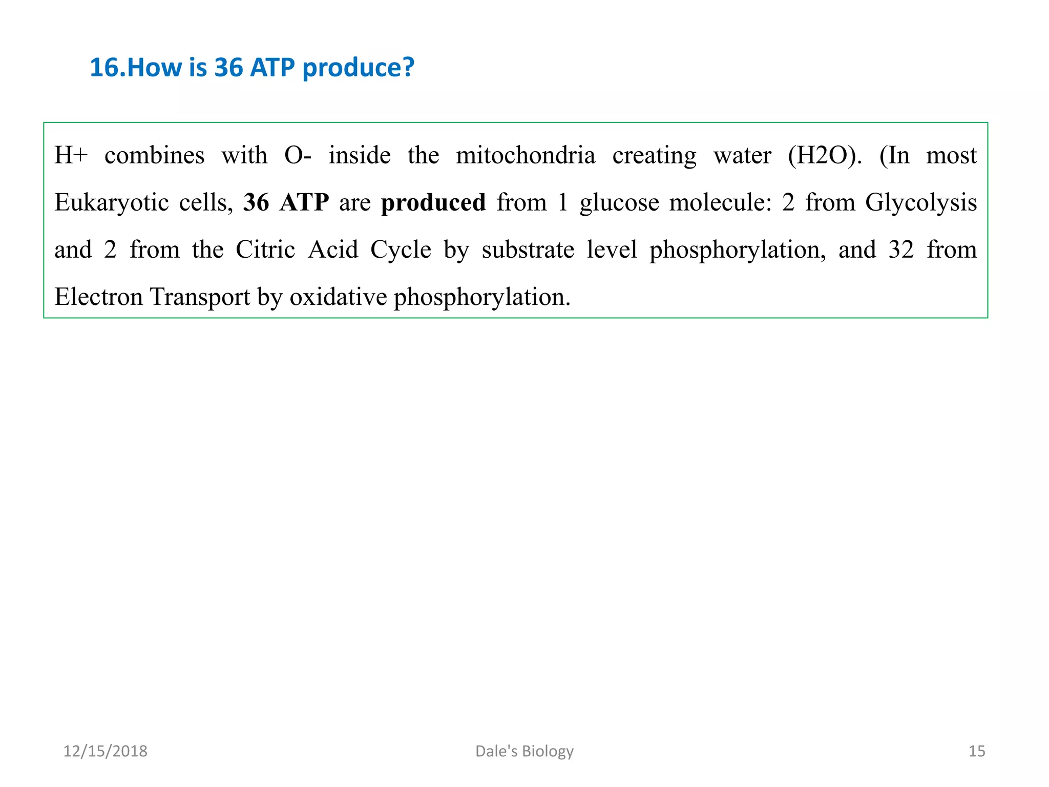 12/15/2018 Dale's Biology 15
H+ combines with O- inside the mitochondria creating water (H2O). (In most
Eukaryotic cells, 36 ATP are produced from 1 glucose molecule: 2 from Glycolysis
and 2 from the Citric Acid Cycle by substrate level phosphorylation, and 32 from
Electron Transport by oxidative phosphorylation.
16.How is 36 ATP produce?
 