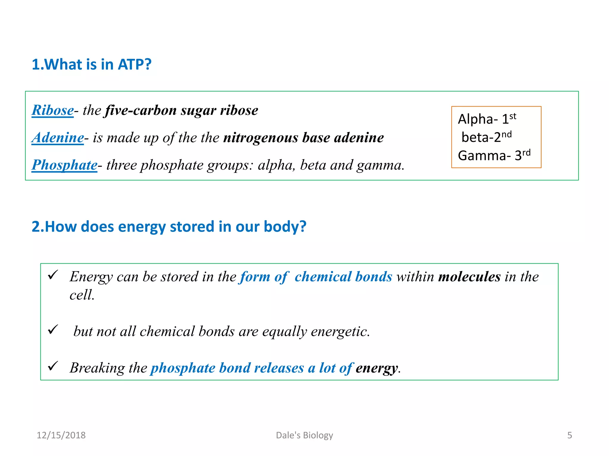 Ribose- the five-carbon sugar ribose
Adenine- is made up of the the nitrogenous base adenine
Phosphate- three phosphate groups: alpha, beta and gamma.
1.What is in ATP?
Alpha- 1st
beta-2nd
Gamma- 3rd
 Energy can be stored in the form of chemical bonds within molecules in the
cell.
 but not all chemical bonds are equally energetic.
 Breaking the phosphate bond releases a lot of energy.
2.How does energy stored in our body?
12/15/2018 5Dale's Biology
 