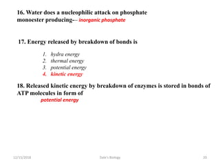 16. Water does a nucleophilic attack on phosphate
monoester producing--- inorganic phosphate
17. Energy released by breakdown of bonds is
1. hydra energy
2. thermal energy
3. potential energy
4. kinetic energy
18. Released kinetic energy by breakdown of enzymes is stored in bonds of
ATP molecules in form of
potential energy
12/15/2018 20Dale's Biology
 
