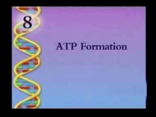 What Is ATP.ppt