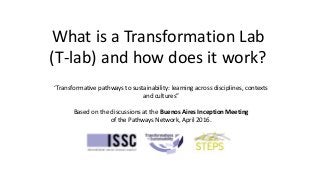What is a Transformation Lab
(T-lab) and how does it work?
‘Transformative pathways to sustainability: learning across disciplines, contexts
and cultures”
Based on the discussions at the Buenos Aires Inception Meeting
of the Pathways Network, April 2016.
 