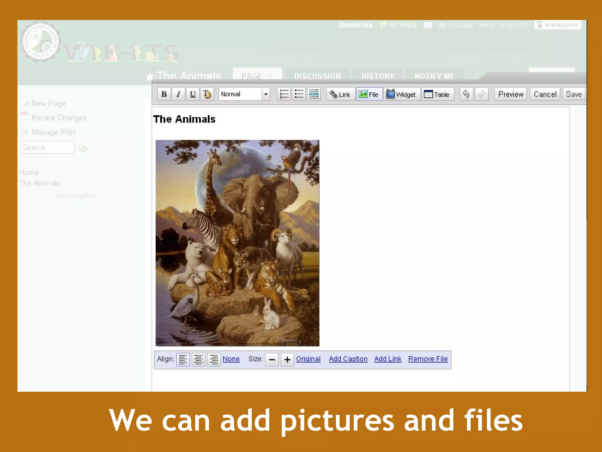 We can add pictures and files 
