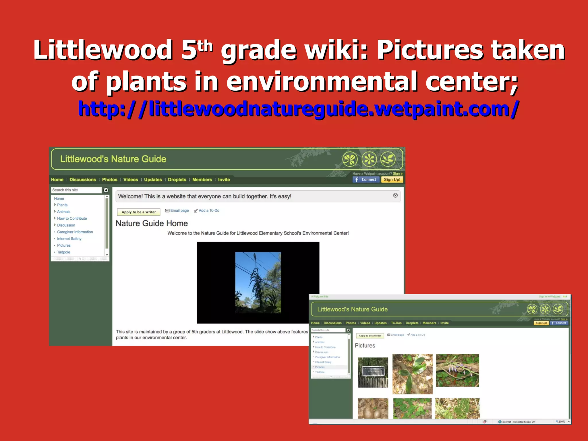 Littlewood 5 th  grade wiki: Pictures taken of plants in environmental center;  http://littlewoodnatureguide.wetpaint.com/ 