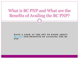 H A V E A L O O K A T T H E P P T T O K N O W A B O U T
B C P N P A N D B E N E F I T S O F A V A I L I N G T H E B C
P N P
What is BC PNP and What are the
Benefits of Availing the BC PNP?
 