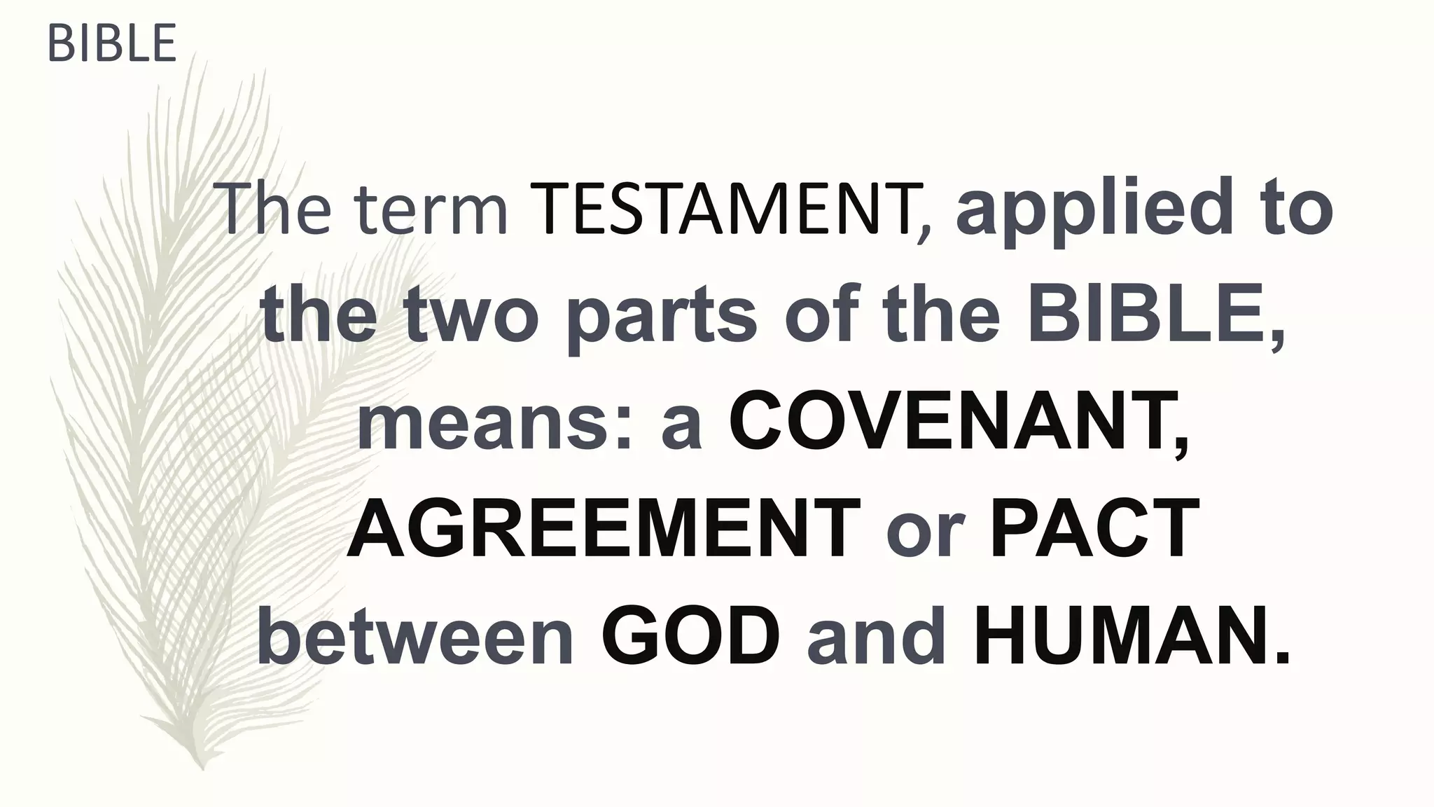 THE ROMAN CATHOLIC BIBLE | PPTX