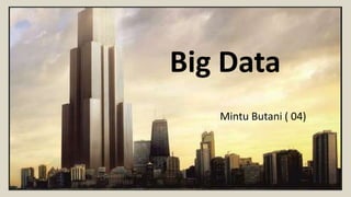 Big Data
Mintu Butani ( 04)
 