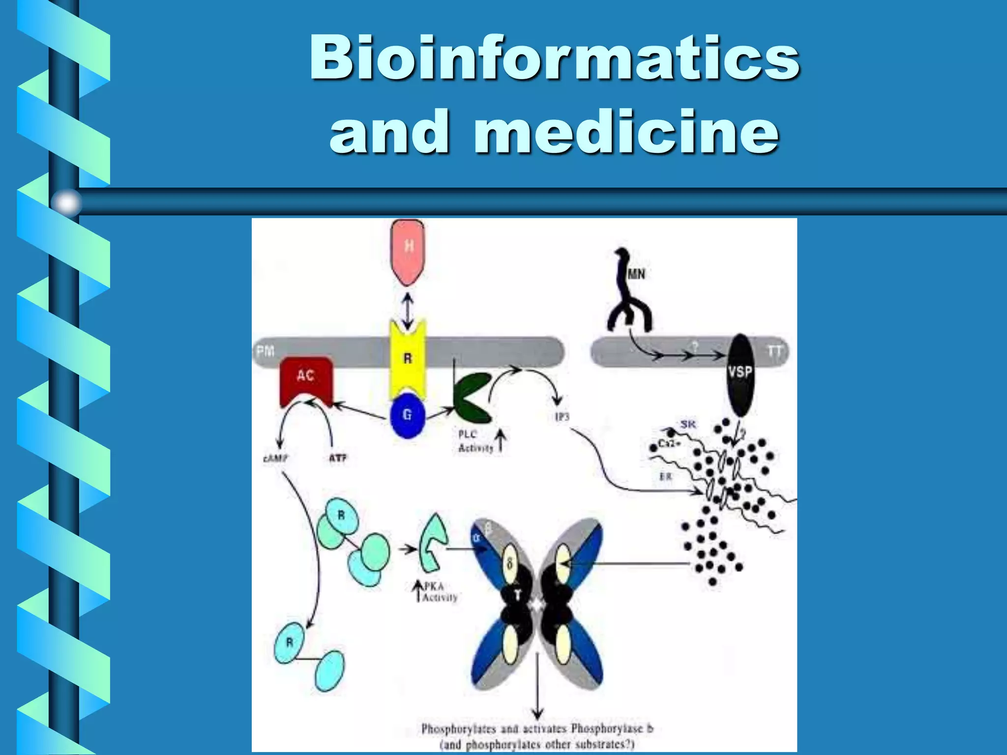 what is bioinformatics.ppt