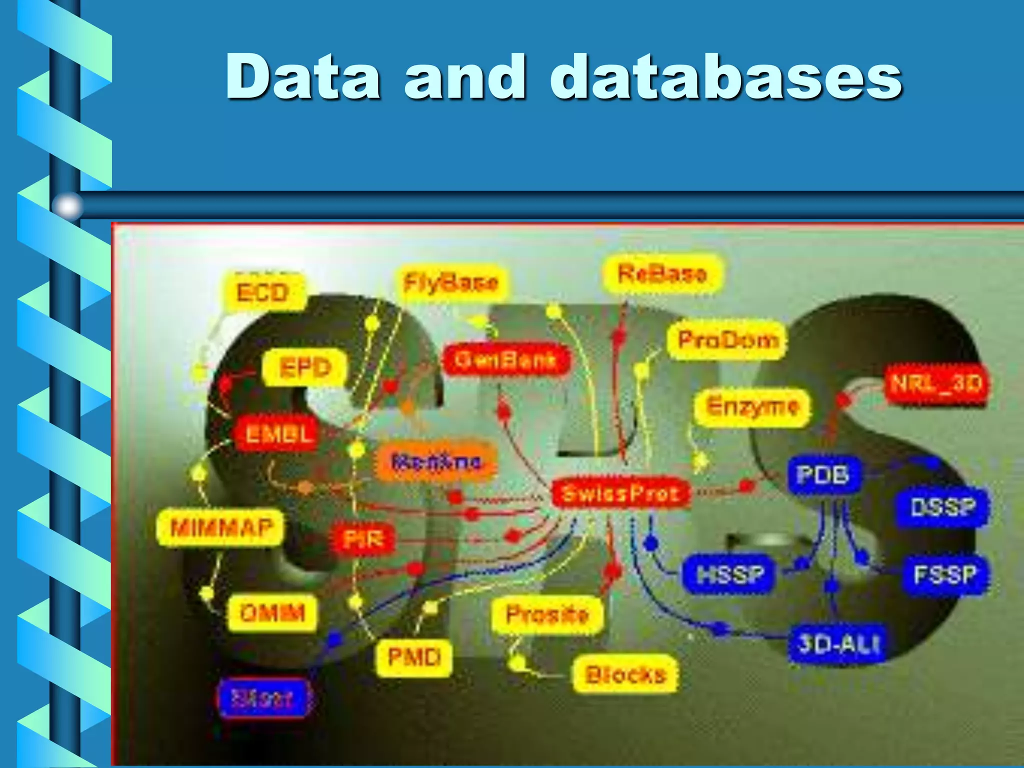 what is bioinformatics.ppt | Genetics | Science