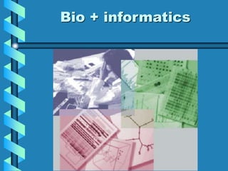 what is bioinformatics.ppt