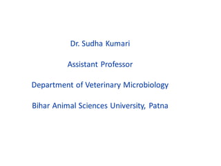 Dr. Sudha Kumari
Assistant Professor
Department of Veterinary Microbiology
Bihar Animal Sciences University, Patna
 
