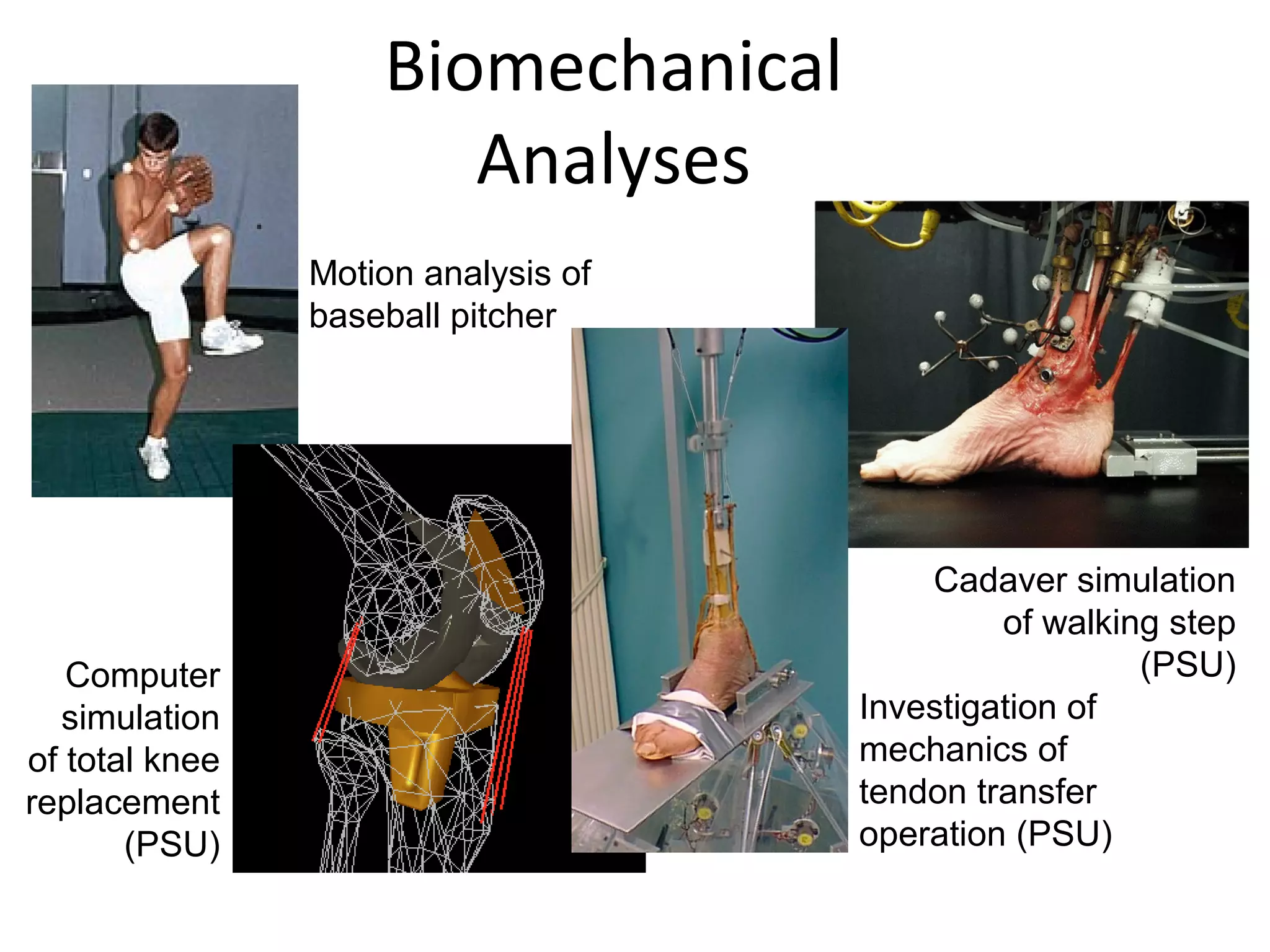 Biomechanical
Analyses
Motion analysis of
baseball pitcher
Computer
simulation
of total knee
replacement
(PSU)
Cadaver simulation
of walking step
(PSU)
Investigation of
mechanics of
tendon transfer
operation (PSU)
 