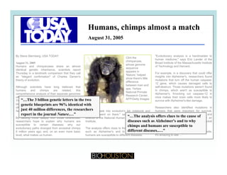 Humans, chimps almost a match
August 31, 2005
By Steve Sternberg, USA TODAY
August 31, 2005
Humans and chimpanzees share an almost
identical genetic inheritance, scientists report
Thursday in a landmark comparison that they call
an "elegant confirmation" of Charles Darwin's
"Evolutionary analysis is a handmaiden to
human medicine," says Eric Lander of the
Broad Institute of the Massachusetts Institute
of Technology and Harvard.
For example, in a discovery that could offer
insights into Alzheimer's researchers found
Clint the
chimpanzee,
whose genome
sequence
appears in
'Nature,' helped
an elegant confirmation of Charles Darwin s
theory of evolution.
Although scientists have long believed that
humans and chimps are related, this
comprehensive analysis of their separate genomes
offers the best proof of their shared genetic past.
insights into Alzheimer s, researchers found
mutations that turn off the human caspase-
12 gene, which causes damaged cells to
self-destruct. Those mutations weren't found
in chimps, which aren't as susceptible to
Alzheimer's. Knocking out caspase-12 in
mice makes their brain cells more likely to
p
show there's little
difference
between man and
ape. Yerkes
National Primate
Research Center,
AFP/Getty Images“ Th 3 billi ti l tt i th t
p g p
The 3 billion genetic letters in the two genetic
blueprints are 96% identical with just 40 million
differences, the researchers report in the journal
Nature.
By delving more deeply into those differences,
h h t l i h h
"We can peek into evolution's lab notebook and
see what went on there," says Francis Collins,
director of the National Human Genome Research
I tit t
y
survive with Alzheimer's-like damage.
Researchers also identified mutations in
humans that were important for survival,
including a gene associated with speech and
a gene that ramps up response to sugar, an
d t i l ti b t t ti l ti k t
AFP/Getty Images
“…The analysis offers clues to the cause of
diseases such as Alzheimer's and to why
“…The 3 billion genetic letters in the two
genetic blueprints are 96% identical with
just 40 million differences, the researchers
report in the journal Nature.…”
researchers hope to explain why humans are
susceptible to certain diseases; why our
evolutionary paths diverged from ancestral chimps
6 million years ago; and, on an even more basic
level, what makes us human.
Institute.
The analysis offers clues to the cause of diseases
such as Alzheimer's and to why chimps and
humans are susceptible to different diseases.
advantage in lean times but a potential ticket
to diabetes today.
"Reading these two genomes side by side,
it's amazing to see …”
diseases such as Alzheimer's and to why
chimps and humans are susceptible to
different diseases..…”
 
