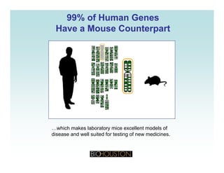 99% of Human Genes99% of Human Genes
Have a Mouse CounterpartHave a Mouse Counterpartpp
…which makes laboratory mice excellent models of
disease and well suited for testing of new medicines.
 