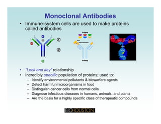 Monoclonal AntibodiesMonoclonal Antibodies
Immune system cells are used to make proteins• Immune-system cells are used to make proteins
called antibodies
• “Lock and key” relationship• Lock and key relationship
• Incredibly specific population of proteins; used to:
– Identify environmental pollutants & biowarfare agents
– Detect harmful microorganisms in foodDetect harmful microorganisms in food
– Distinguish cancer cells from normal cells
– Diagnose infectious diseases in humans, animals, and plants
– Are the basis for a highly specific class of therapeutic compounds
 