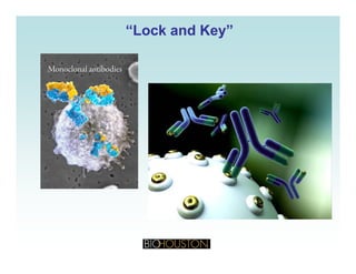 “Lock and Key”“Lock and Key”
 