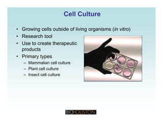 Cell CultureCell Culture
• Growing cells outside of living organisms (in vitro)
• Research tool
• Use to create therapeutic
products
P i t• Primary types
– Mammalian cell culture
– Plant cell culture
– Insect cell culture
 